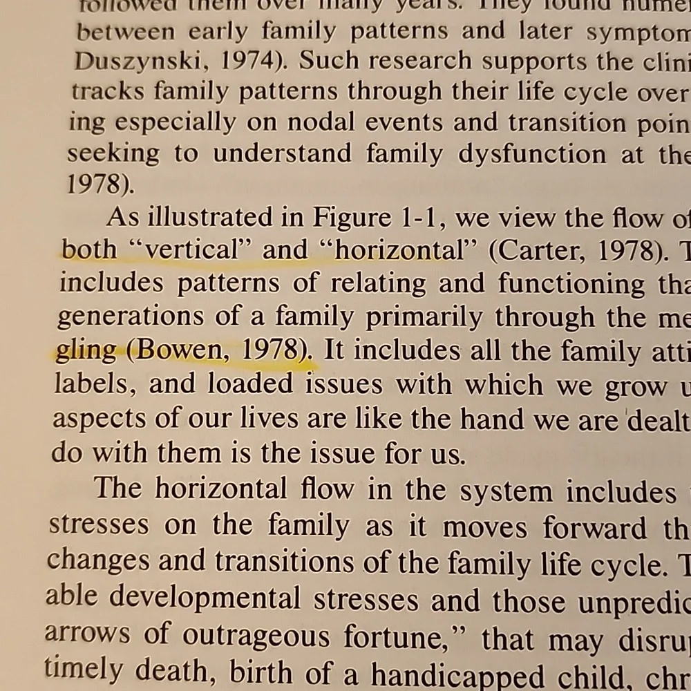 The‎ Changing Family Life Cycle A Framework for Family Therapy Second Edition